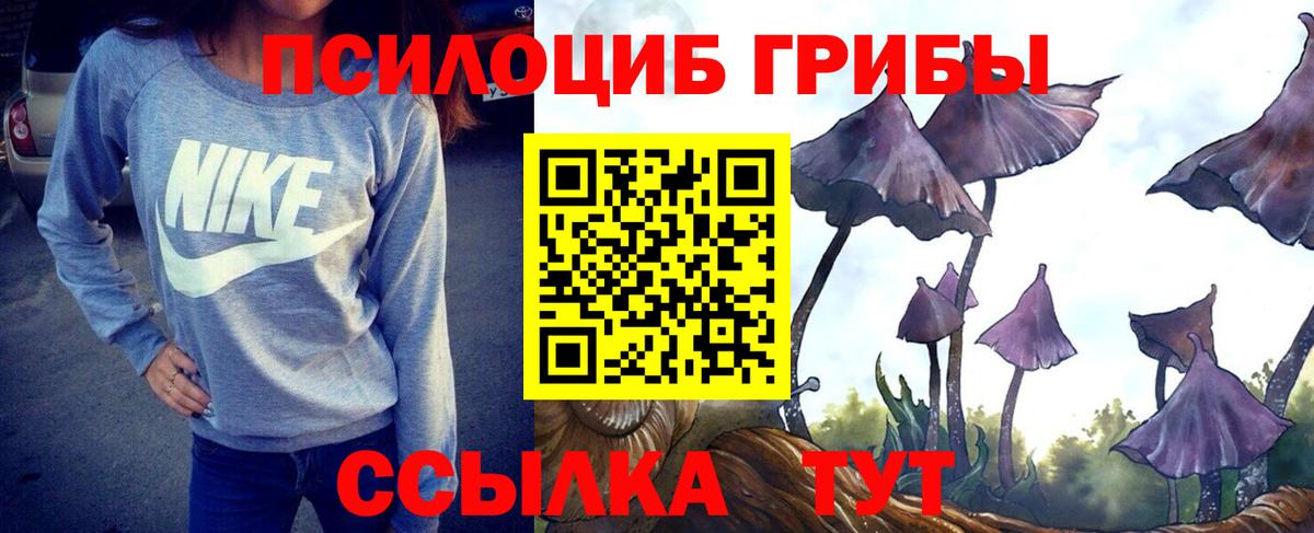 Псилоцибиновые грибы Cubensis  Вход с VPN  Жигулёвск  Галлюциногенные грибы мицелий 